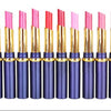 Long Lasting Bright Lipstick Lip Balm